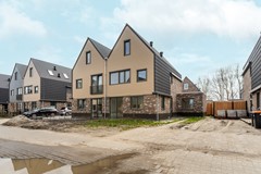 04-Moerasorchidee 13 - Lelystad.jpg